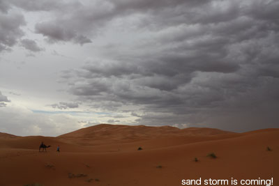 サハラ砂漠で砂嵐