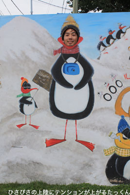 僕、ペンギンです